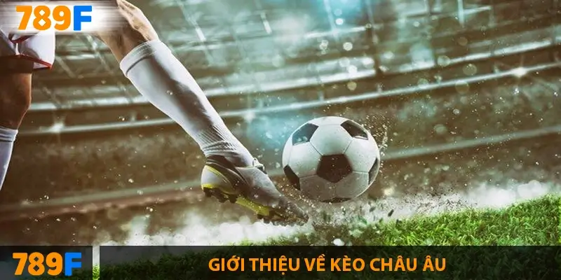 Bảng xếp hạng Ngoại hạng Anh – Hành trình mùa giải 2024/25 1 Giới thiệu về kèo châu âu
