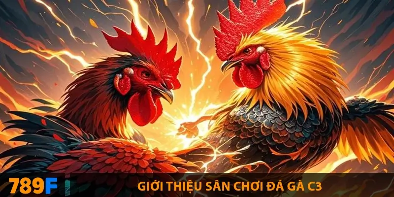 Gà Peru - nguồn gốc, “bản đồ” chuồng trại & playbook 28 ngày 2 Kinh nghiệm khi tham gia đá gà C3