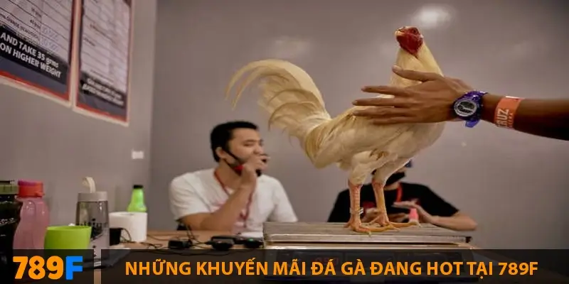 Khuyến Mãi Bắn Cá ở 789F – Tặng Code & Xu Thưởng Lớn 2 Những khuyến mãi đá gà đang hot tại 789F