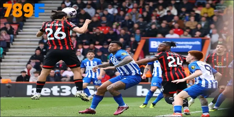 Dự đoán trận AFC Bournemouth vs Brighton & Hove Albion 13/09/2025