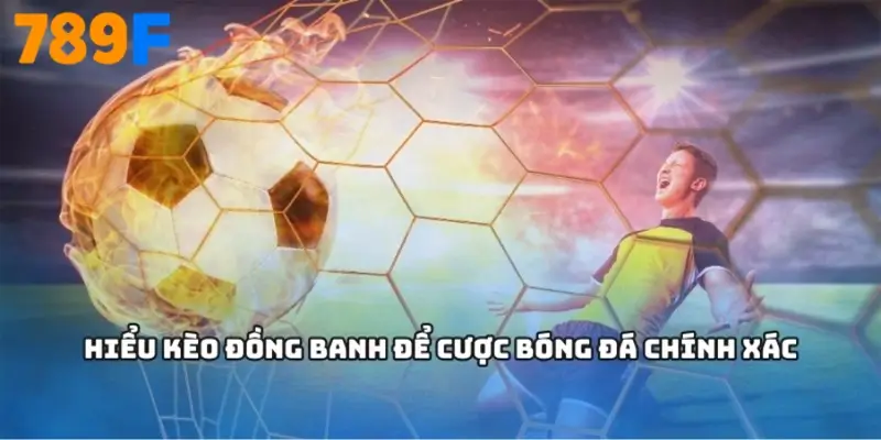 Bảng xếp hạng Ngoại hạng Anh – Hành trình mùa giải 2024/25 2 Hiểu Kèo Đồng Banh Để Cược Bóng Đá Chính Xác