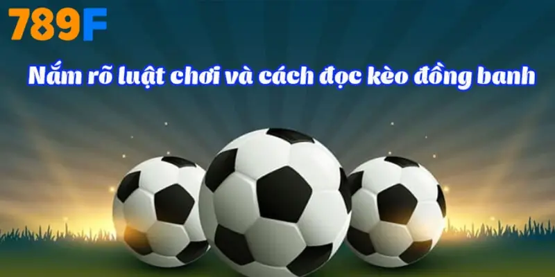 Bảng xếp hạng Ngoại hạng Anh – Hành trình mùa giải 2024/25 3 Nắm Rõ Luật Chơi Và Cách Đọc Kèo Đồng Banh Tại Nhà Cái 789F